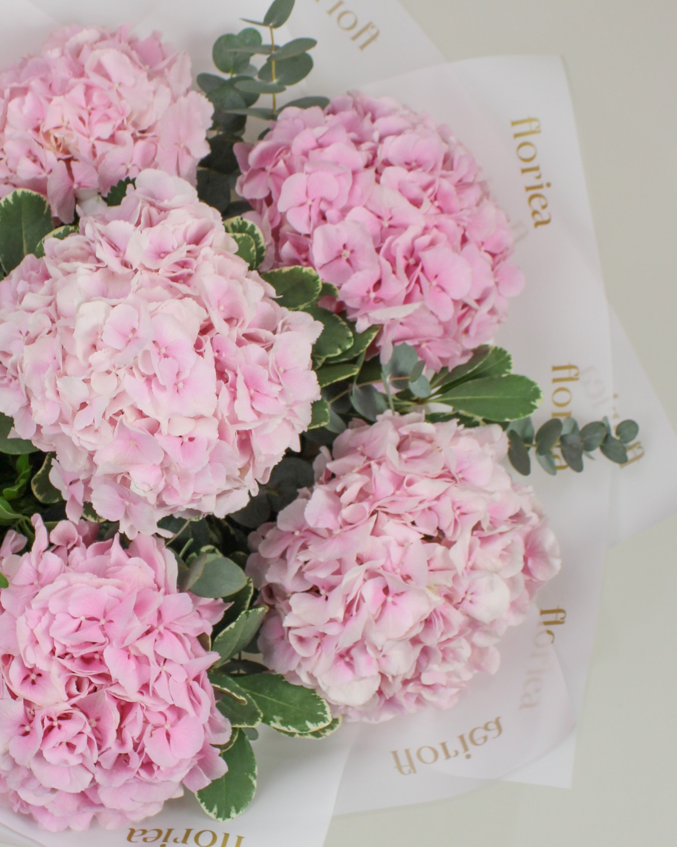 Anne Bouquet